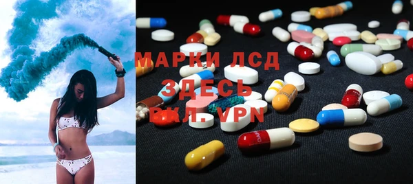 твердый Аркадак